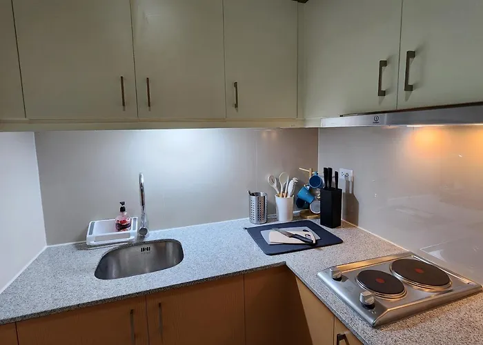 Spacious Cozy Unit Steps Away From Major Malls With Parking And Washer Dryer For Family, Long And Wfh * Manila